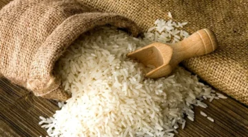 كيف يضمن فائض الإنتاج المصري من الأرز استقرار الأسعار وسط التوترات الإيرانية الإسرائيلية؟